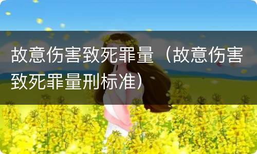 故意伤害致死罪量（故意伤害致死罪量刑标准）