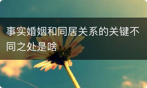 事实婚姻和同居关系的关键不同之处是啥