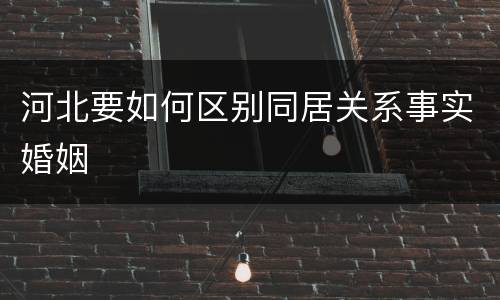 河北要如何区别同居关系事实婚姻
