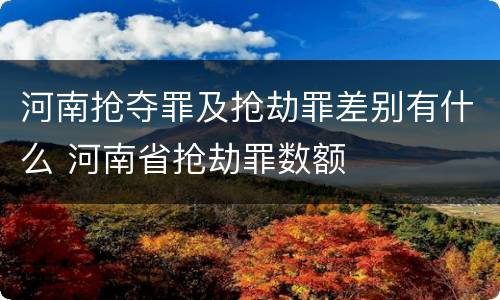 河南抢夺罪及抢劫罪差别有什么 河南省抢劫罪数额