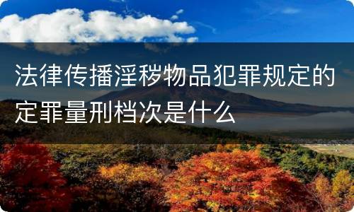 法律传播淫秽物品犯罪规定的定罪量刑档次是什么