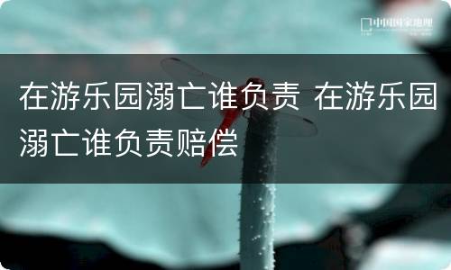 在游乐园溺亡谁负责 在游乐园溺亡谁负责赔偿