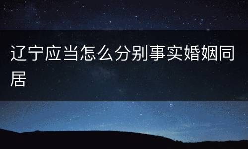 辽宁应当怎么分别事实婚姻同居