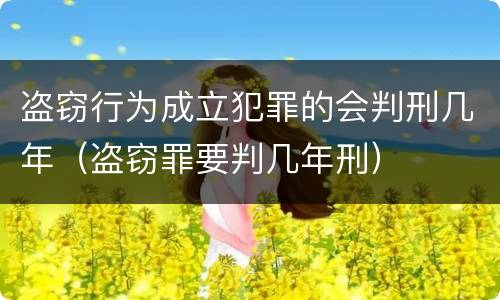 盗窃行为成立犯罪的会判刑几年（盗窃罪要判几年刑）