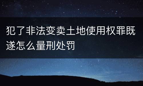 犯了非法变卖土地使用权罪既遂怎么量刑处罚