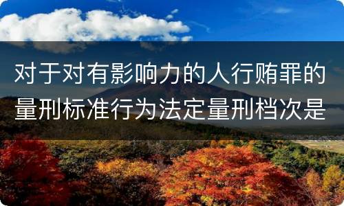 对于对有影响力的人行贿罪的量刑标准行为法定量刑档次是多少