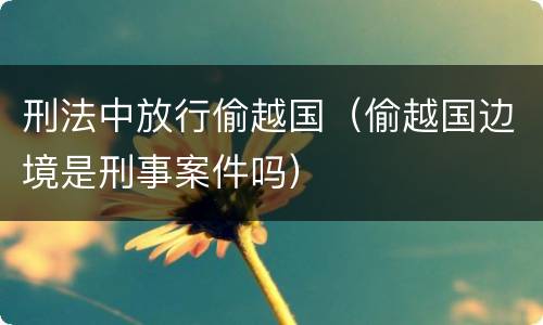 刑法中放行偷越国（偷越国边境是刑事案件吗）