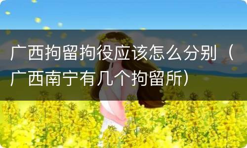 广西拘留拘役应该怎么分别（广西南宁有几个拘留所）