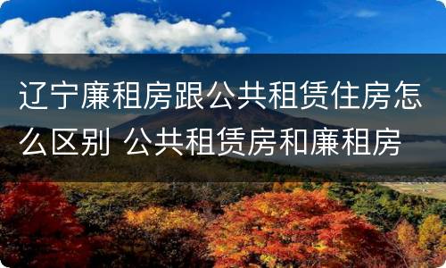 辽宁廉租房跟公共租赁住房怎么区别 公共租赁房和廉租房