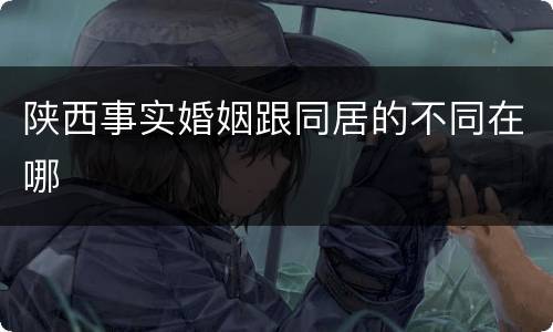 陕西事实婚姻跟同居的不同在哪