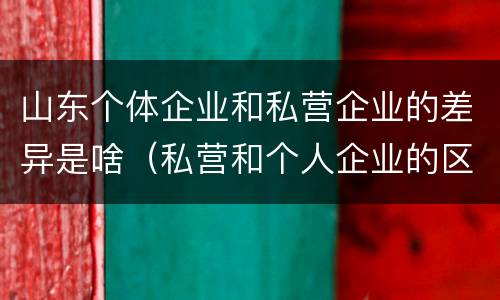 山东个体企业和私营企业的差异是啥（私营和个人企业的区别）