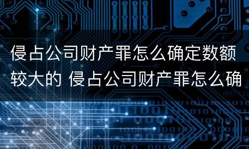 侵占公司财产罪怎么确定数额较大的 侵占公司财产罪怎么确定数额较大的案件