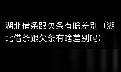 湖北借条跟欠条有啥差别（湖北借条跟欠条有啥差别吗）