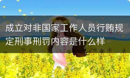 成立对非国家工作人员行贿规定刑事刑罚内容是什么样