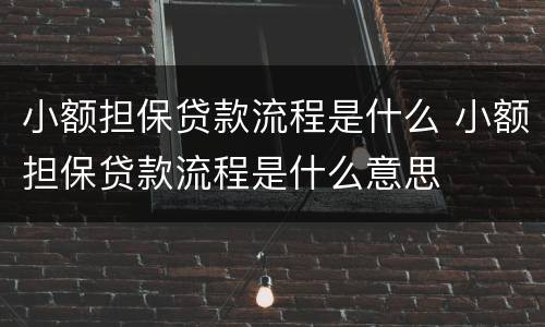 小额担保贷款流程是什么 小额担保贷款流程是什么意思