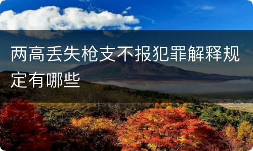 两高丢失枪支不报犯罪解释规定有哪些
