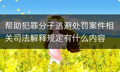 帮助犯罪分子逃避处罚案件相关司法解释规定有什么内容