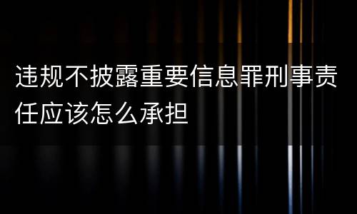 违规不披露重要信息罪刑事责任应该怎么承担