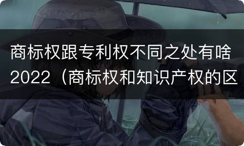 商标权跟专利权不同之处有啥2022（商标权和知识产权的区别）