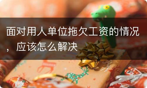 面对用人单位拖欠工资的情况，应该怎么解决