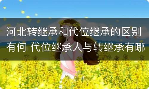 河北转继承和代位继承的区别有何 代位继承人与转继承有哪些区别