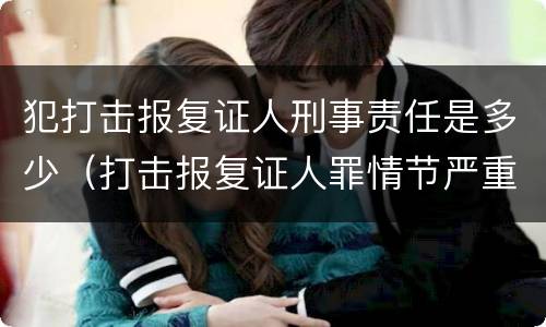 犯打击报复证人刑事责任是多少（打击报复证人罪情节严重）