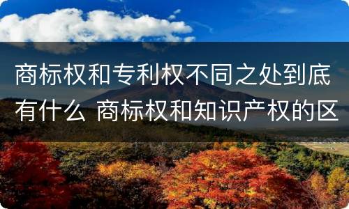 商标权和专利权不同之处到底有什么 商标权和知识产权的区别