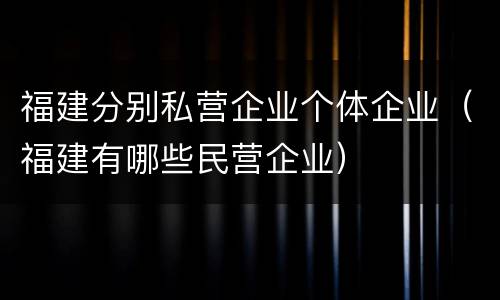 福建分别私营企业个体企业（福建有哪些民营企业）