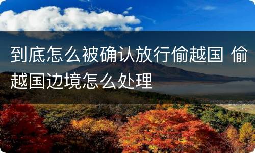 到底怎么被确认放行偷越国 偷越国边境怎么处理