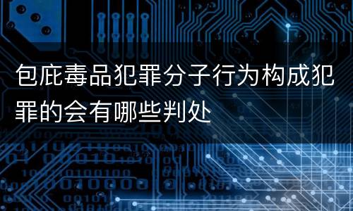 包庇毒品犯罪分子行为构成犯罪的会有哪些判处