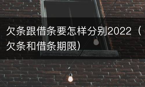 欠条跟借条要怎样分别2022（欠条和借条期限）