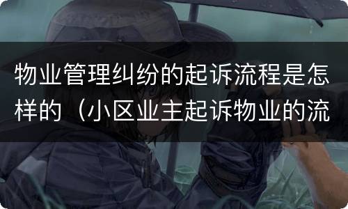 物业管理纠纷的起诉流程是怎样的（小区业主起诉物业的流程）