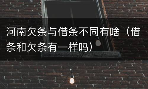 河南欠条与借条不同有啥（借条和欠条有一样吗）