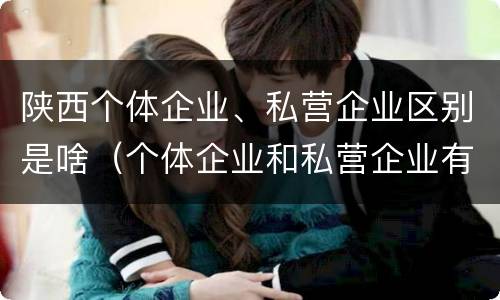 陕西个体企业、私营企业区别是啥（个体企业和私营企业有哪些）