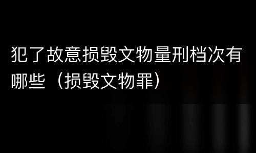 犯了故意损毁文物量刑档次有哪些（损毁文物罪）