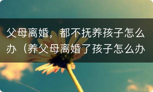 父母离婚，都不抚养孩子怎么办（养父母离婚了孩子怎么办）