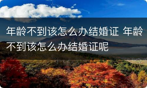 年龄不到该怎么办结婚证 年龄不到该怎么办结婚证呢