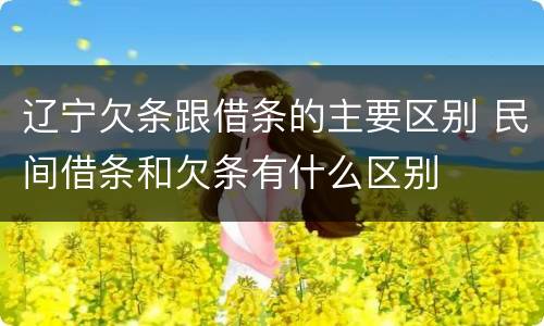 辽宁欠条跟借条的主要区别 民间借条和欠条有什么区别