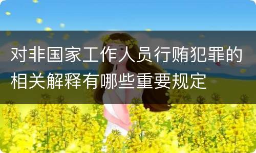 对非国家工作人员行贿犯罪的相关解释有哪些重要规定