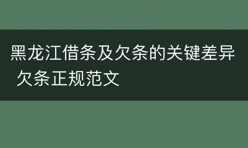 黑龙江借条及欠条的关键差异 欠条正规范文