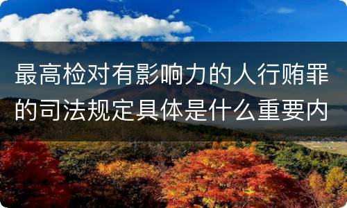 最高检对有影响力的人行贿罪的司法规定具体是什么重要内容