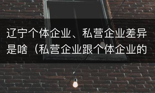 辽宁个体企业、私营企业差异是啥（私营企业跟个体企业的区别）