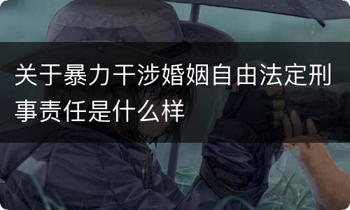 关于暴力干涉婚姻自由法定刑事责任是什么样