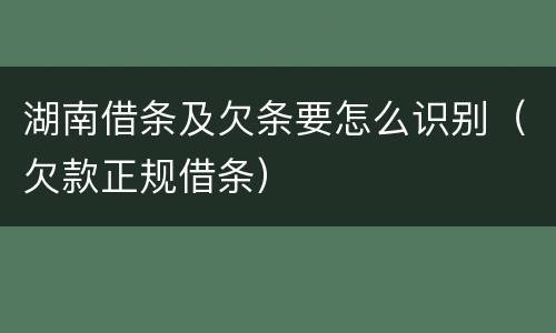 湖南借条及欠条要怎么识别（欠款正规借条）