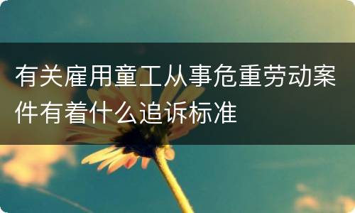 有关雇用童工从事危重劳动案件有着什么追诉标准