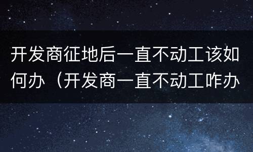 开发商征地后一直不动工该如何办（开发商一直不动工咋办）