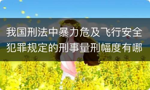 我国刑法中暴力危及飞行安全犯罪规定的刑事量刑幅度有哪些