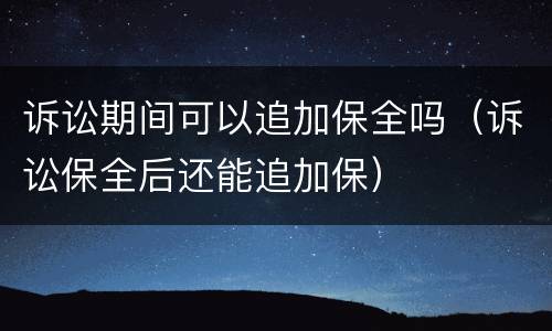 诉讼期间可以追加保全吗（诉讼保全后还能追加保）