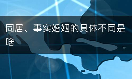 同居、事实婚姻的具体不同是啥