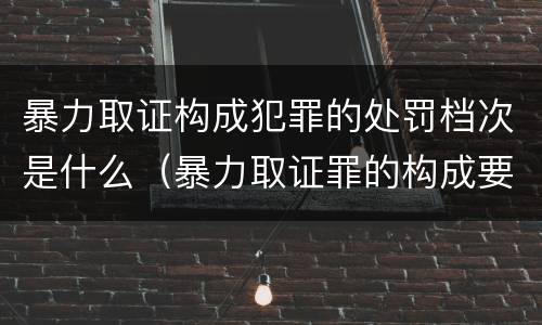 暴力取证构成犯罪的处罚档次是什么（暴力取证罪的构成要件）
